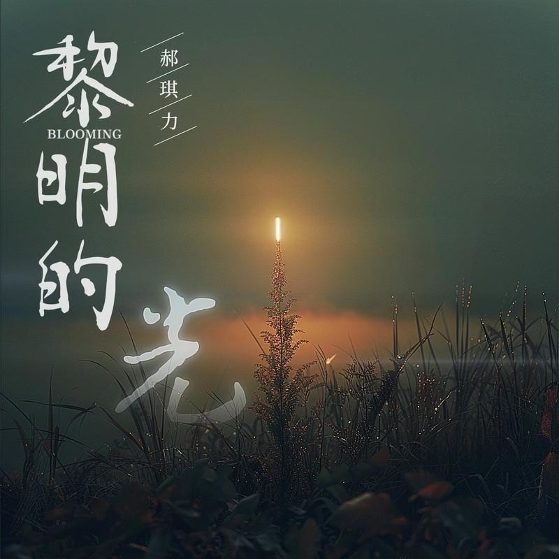 黎明的光 - 郝琪力封面