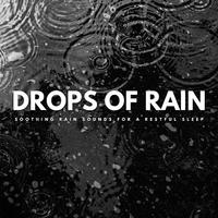 Drops Of Rain: Soothing Rain Sounds For A Restful Sleep