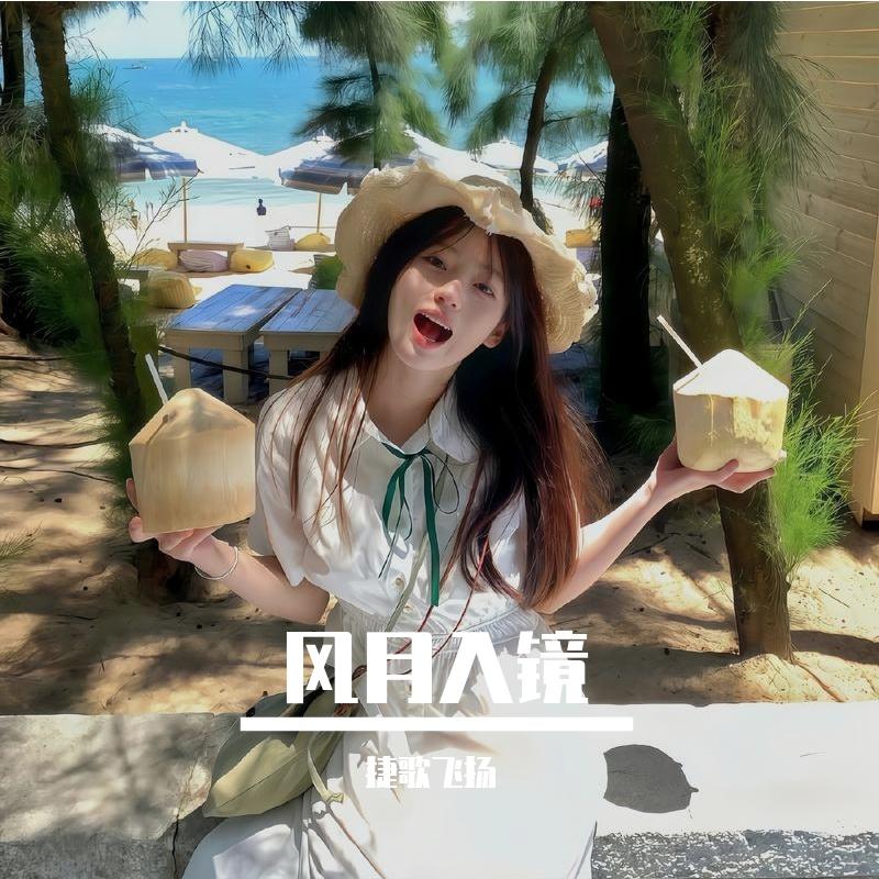 风月入镜 伴奏封面