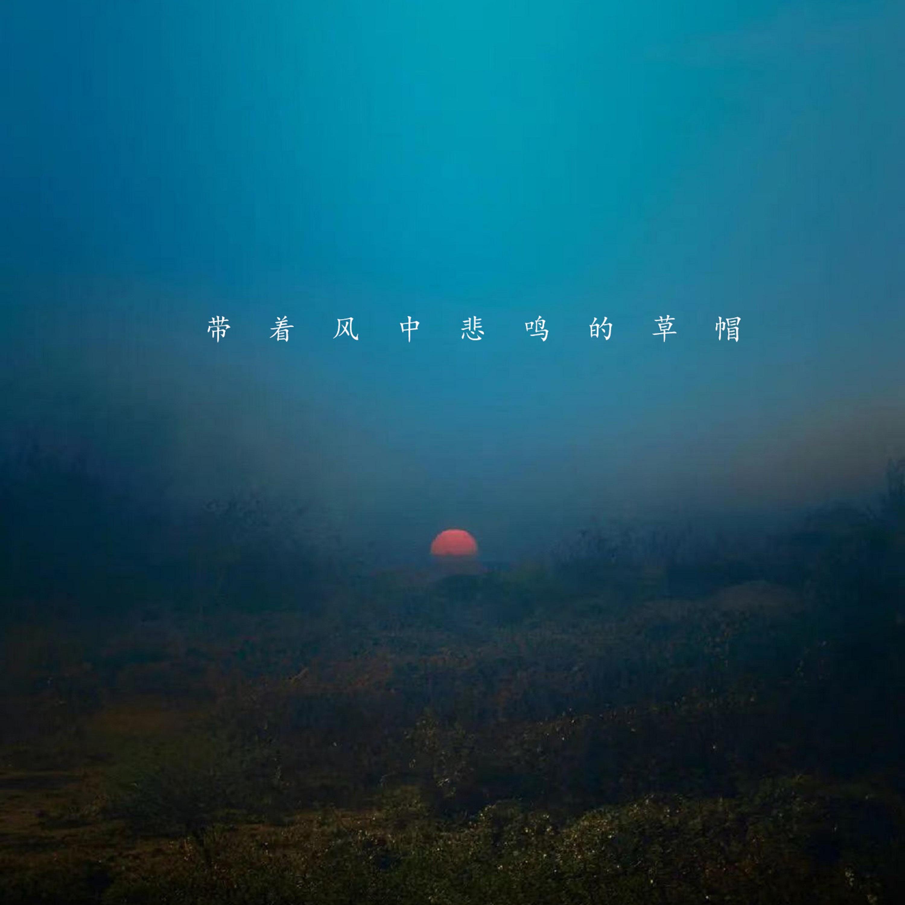 只可惜没能成为你的白马封面