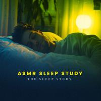 ASMR Sleep Study