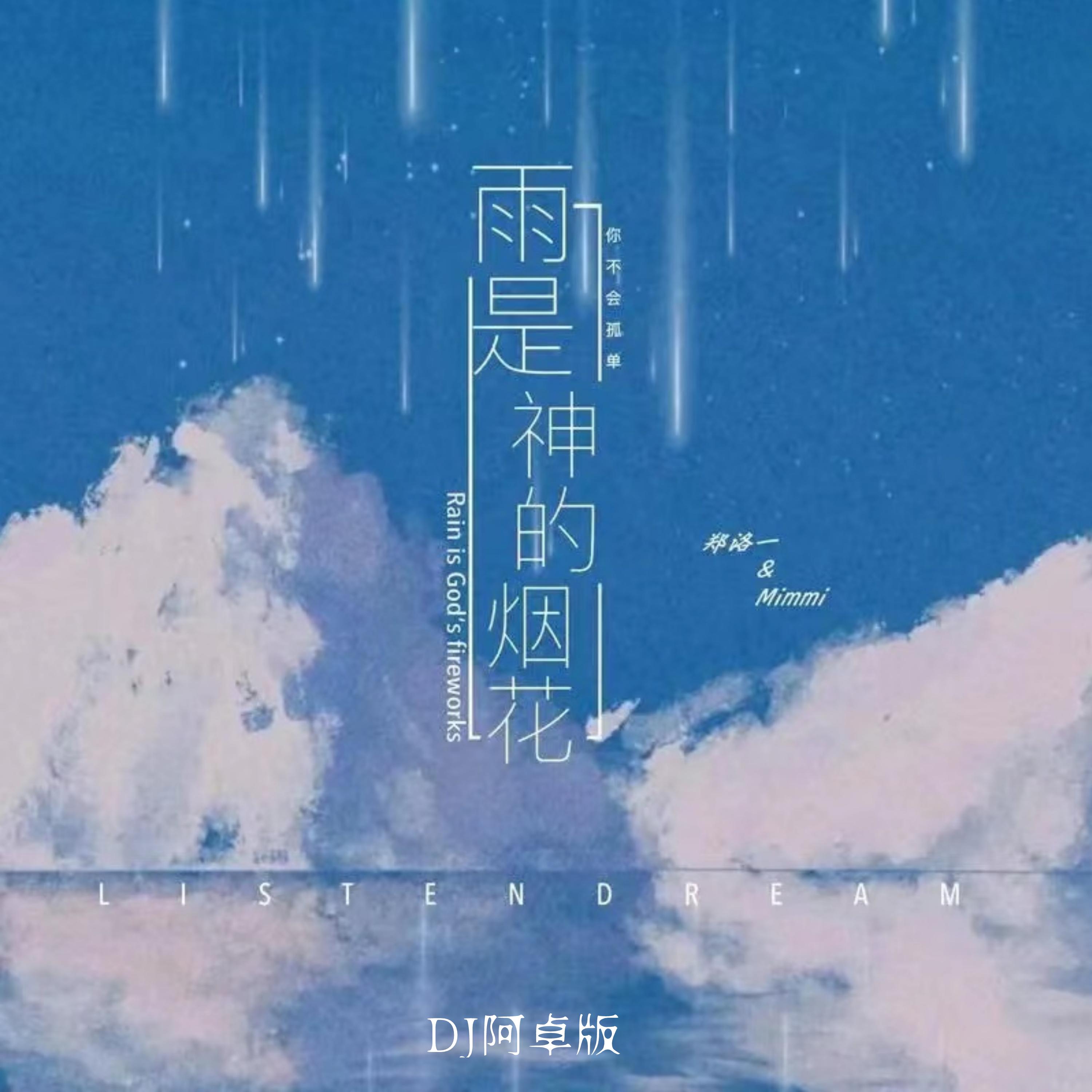 雨是神的烟花 (DJ版)封面
