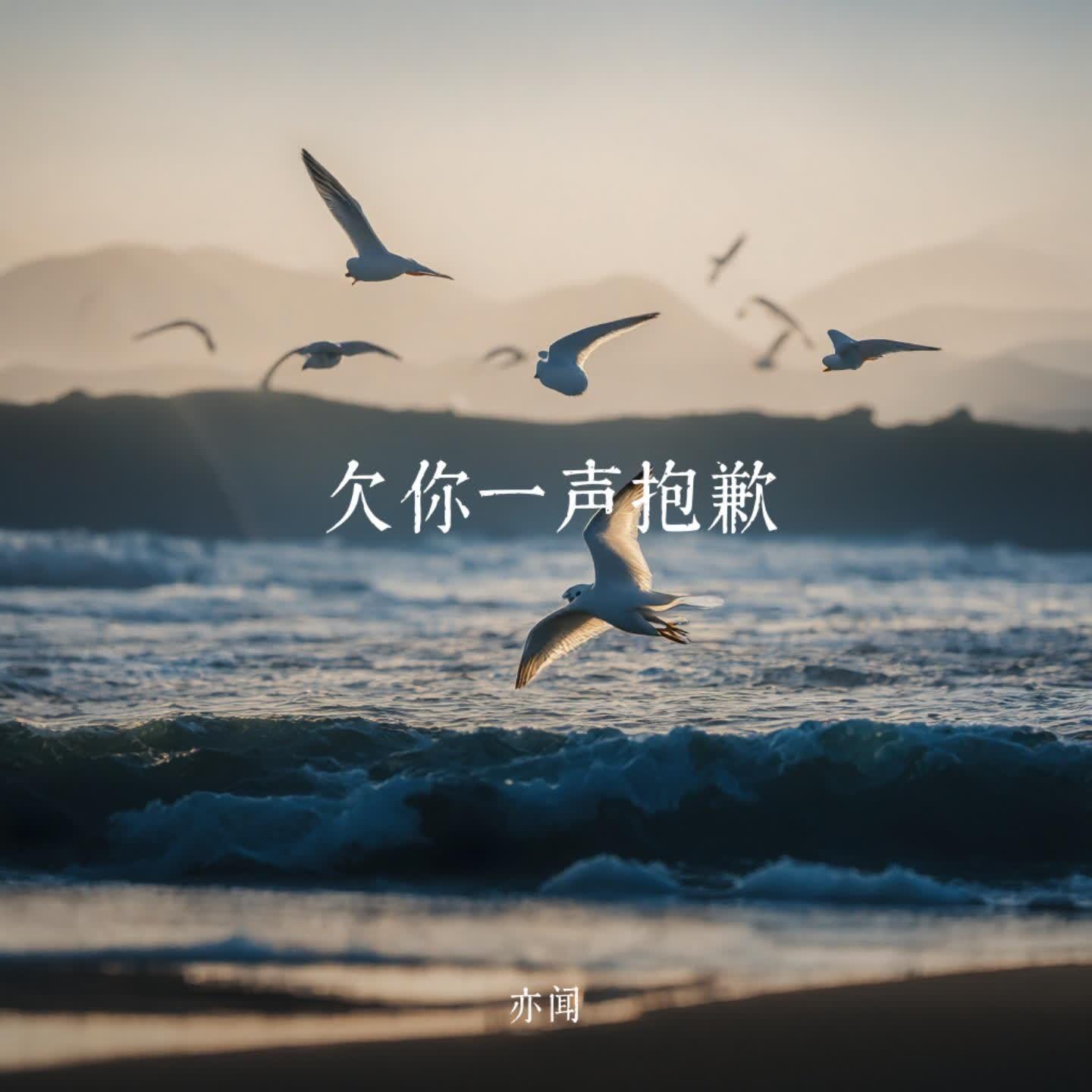 欠你一声抱歉封面