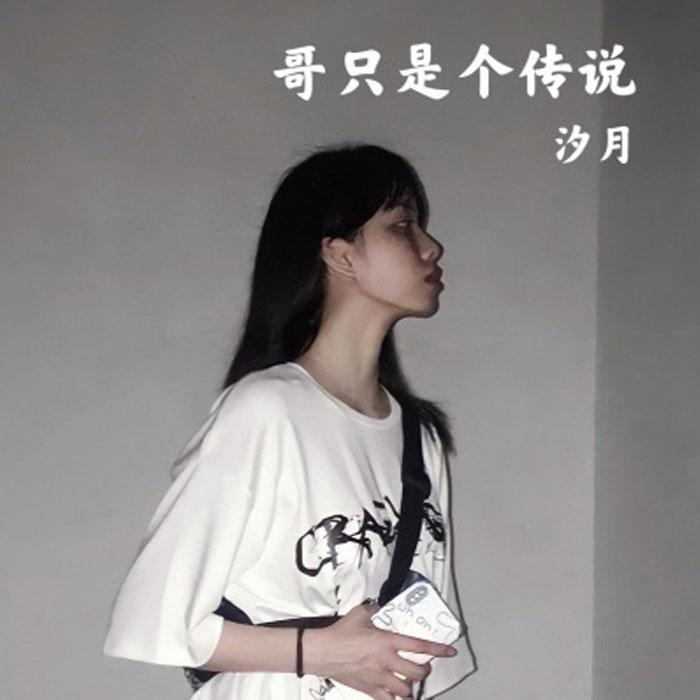 哥只是个传说封面
