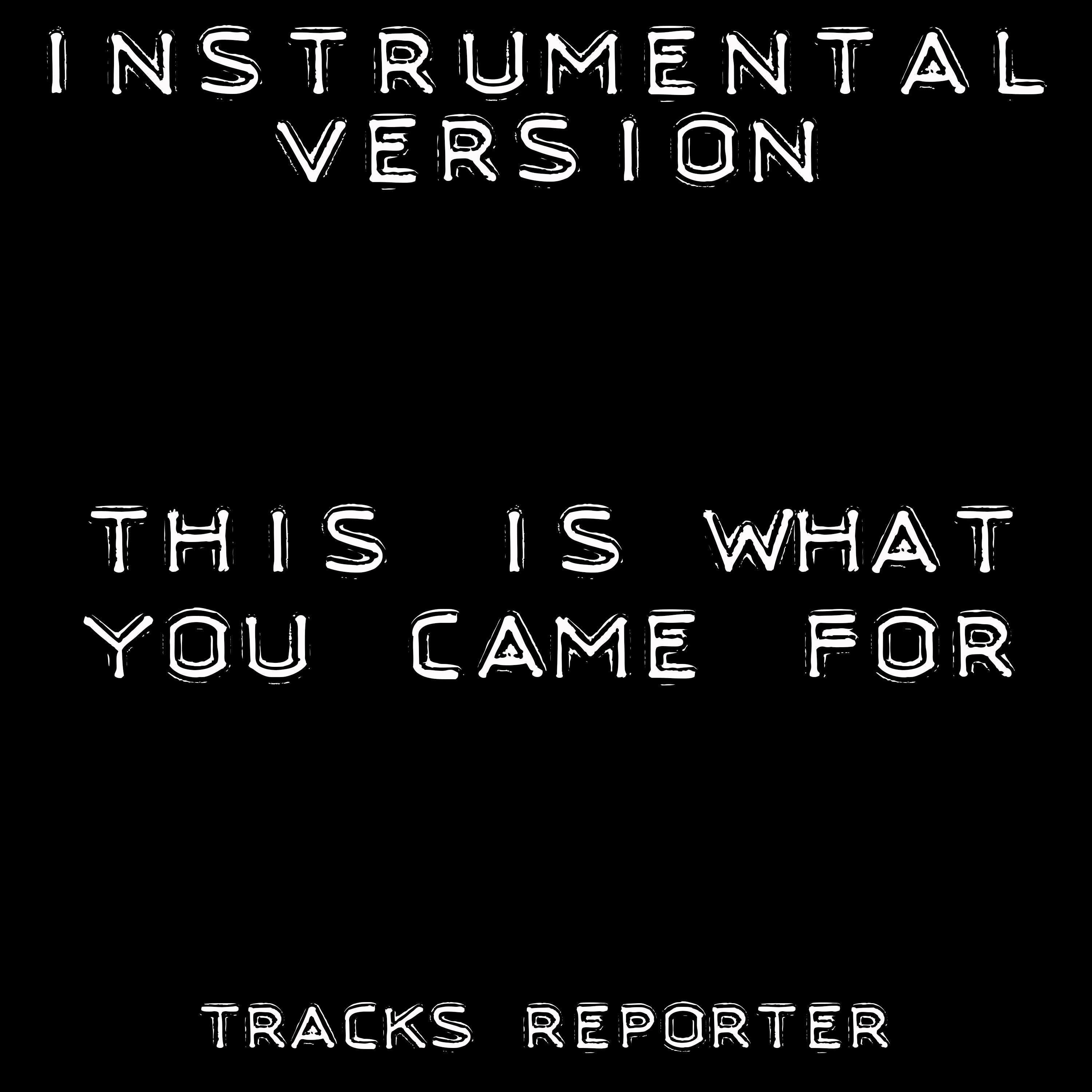 This Is What You Came For (Instrumental Version)