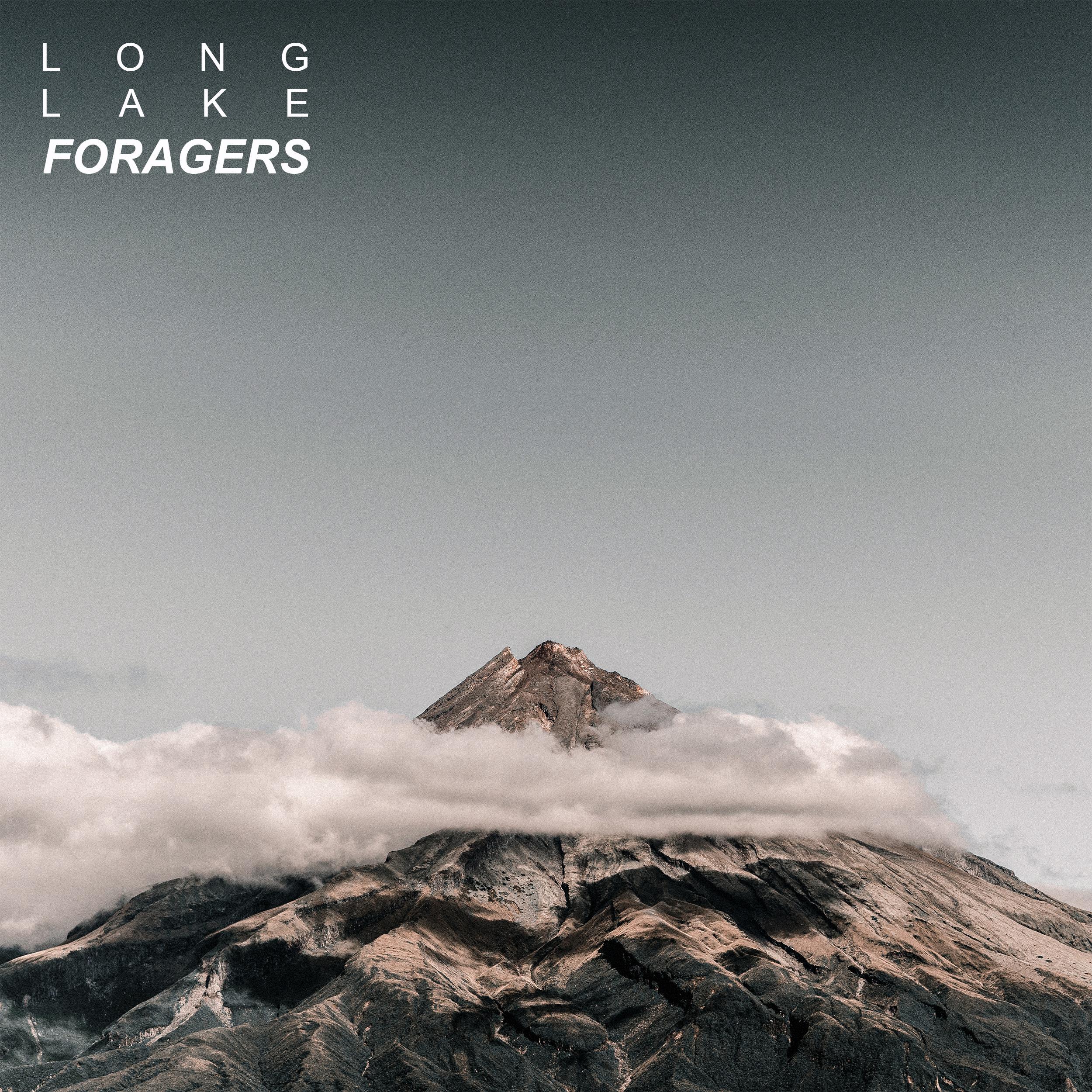 Foragers_Long Lake_Foragers | 在线播放_Foragers歌词_Foragers下载 | 网易云音乐