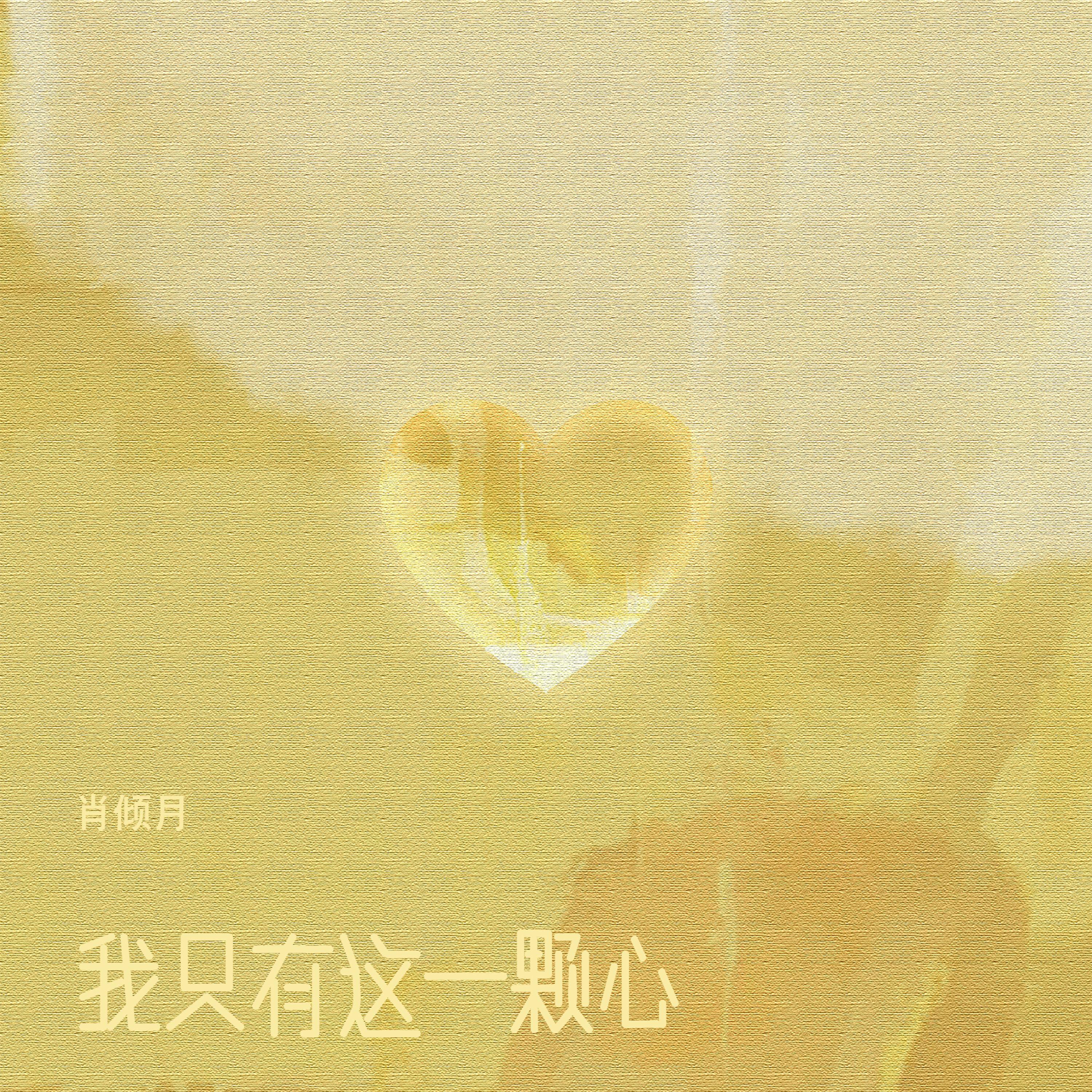 我只有这一颗心封面