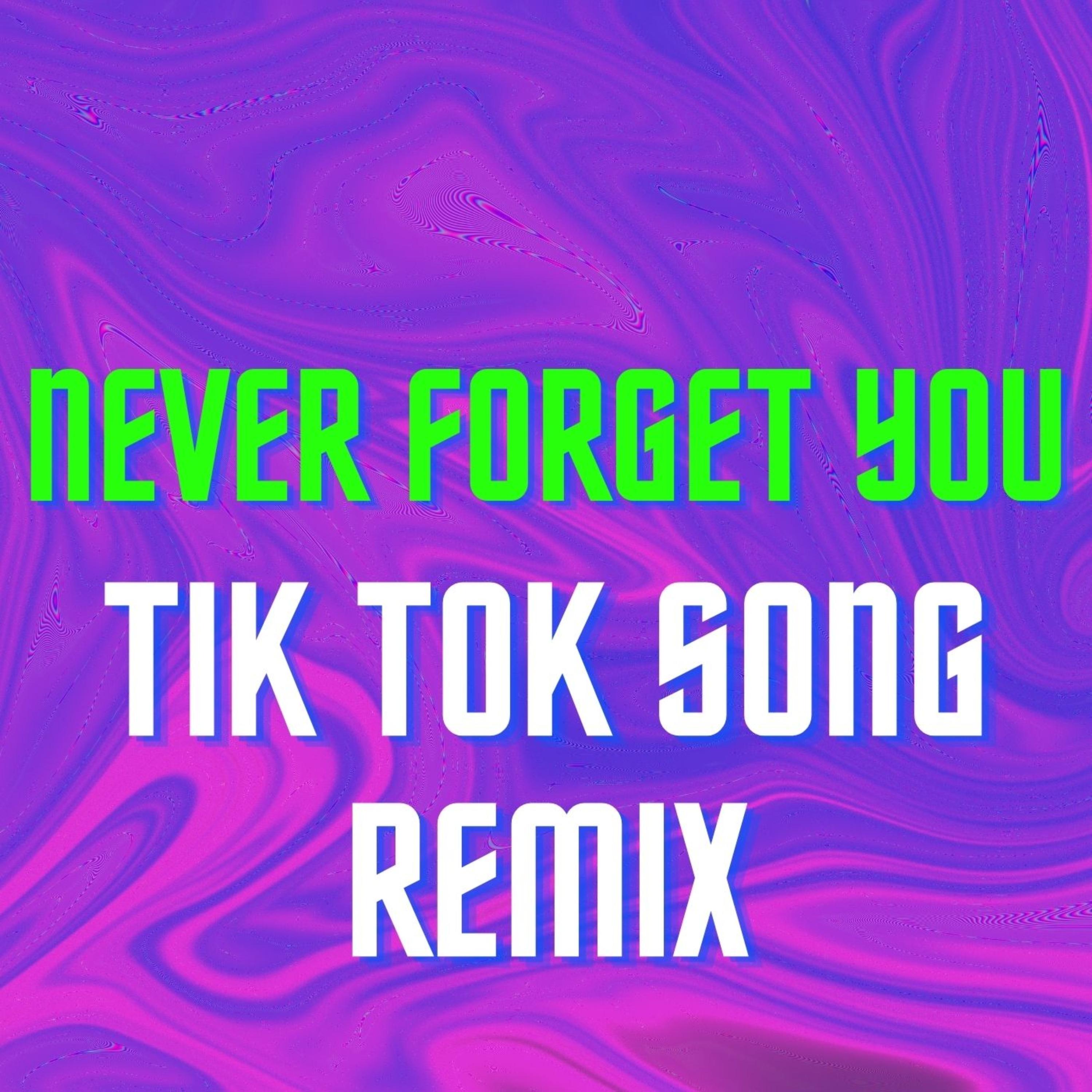 Never Forget You Tik Tok Song Remix