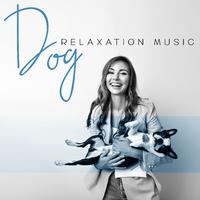 Dog Relaxation Music: Calm and Relax Your Dog during Loneliness, Anxiety, Fireworks and Separation