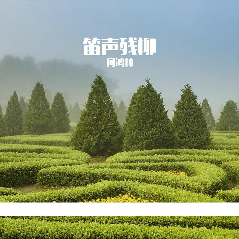 我放下矜持 伴奏封面