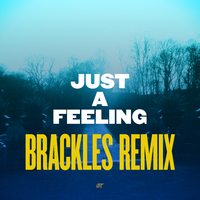 Swing Ting - Just a Feeling (Brackles Remix)