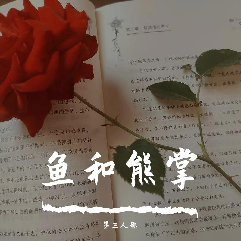 鱼和熊掌封面