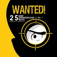 Wanted! 25 Deep Underground Beats, Vol. 1