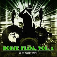 House Flava, Vol. 2