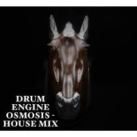 Osmosis (House Mix)