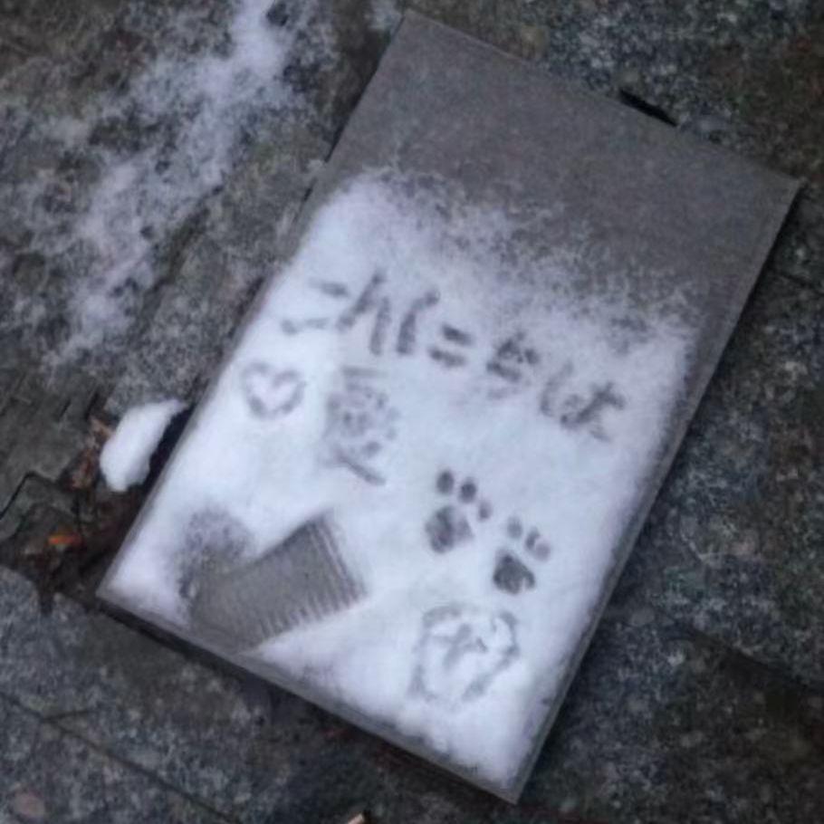 心上你却给我一刀