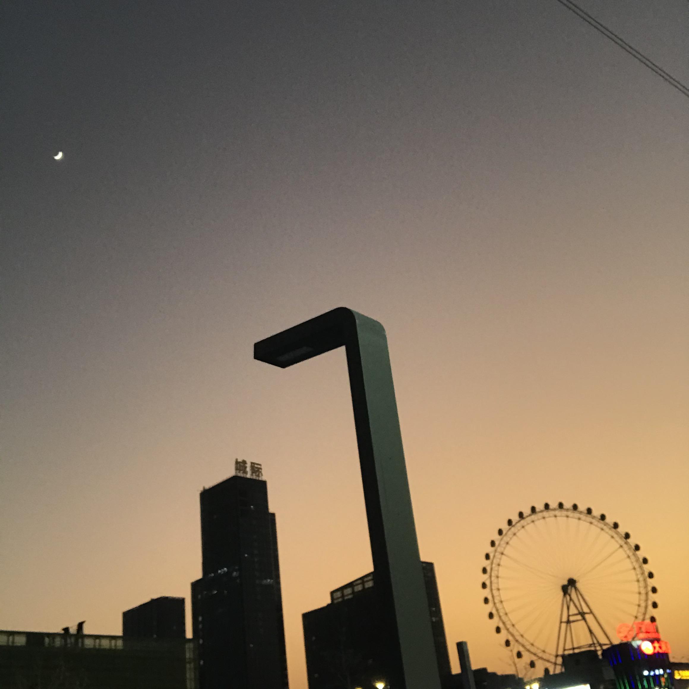 类似爱情·2023封面