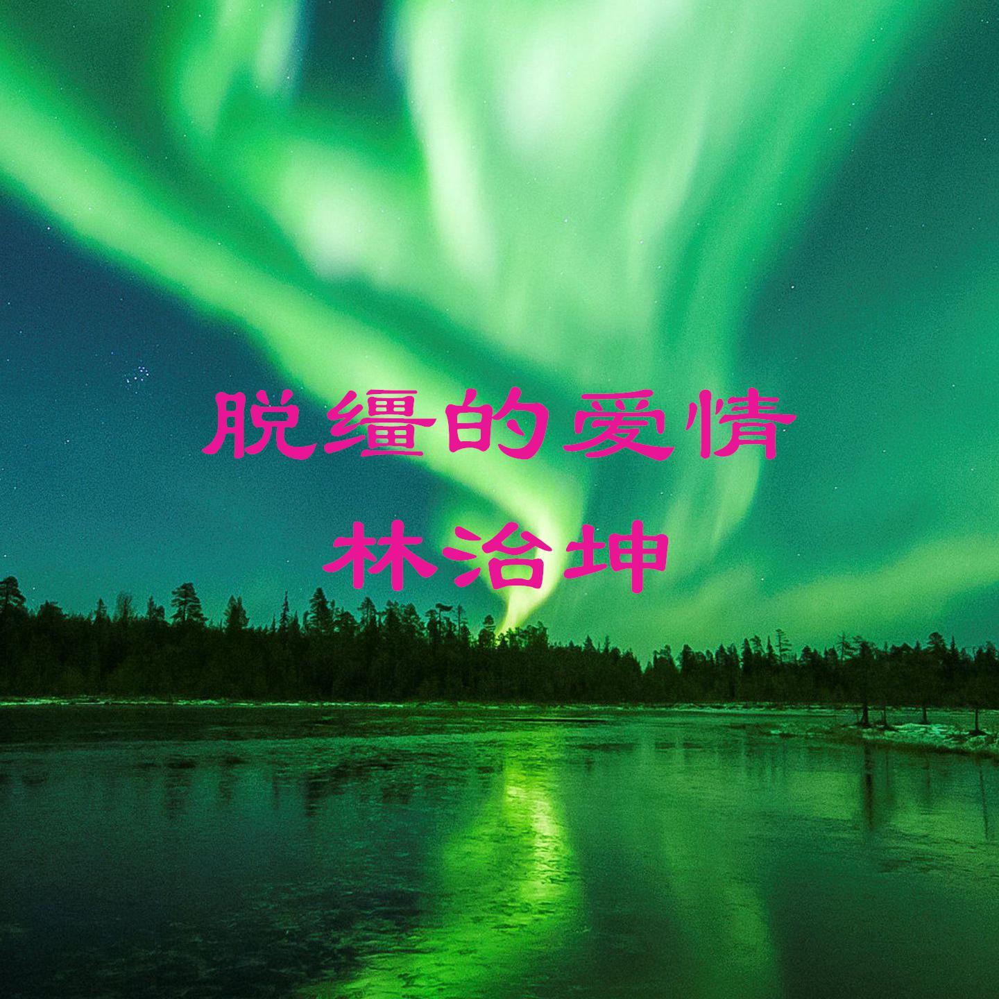脱缰的爱情 伴奏 - 林治坤封面