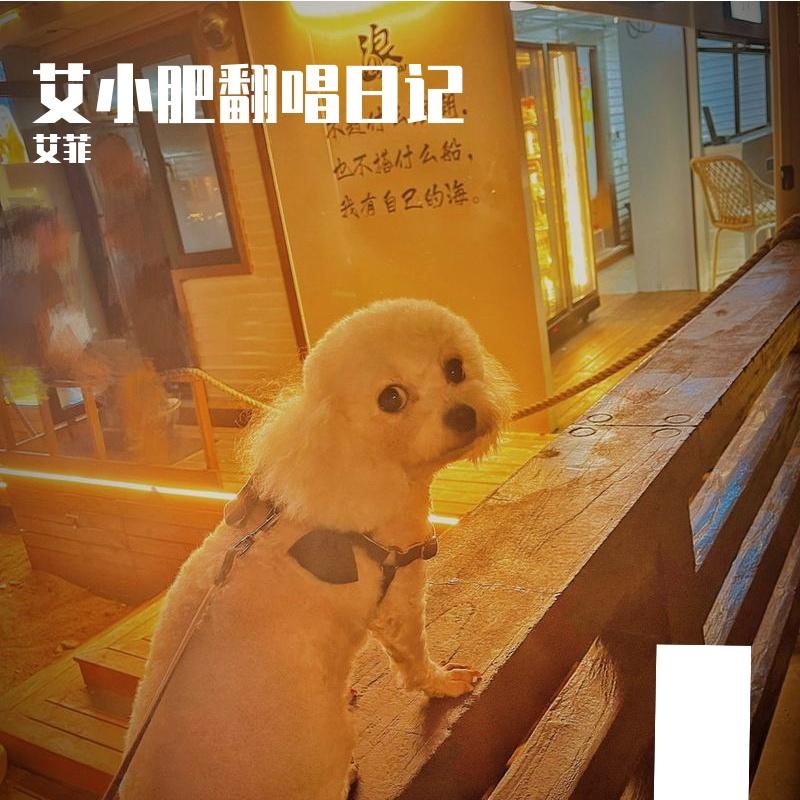 分手别给我打电话.mp3（翻自 万妮达）