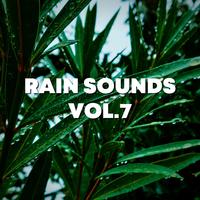 Rain Sounds Vol.7