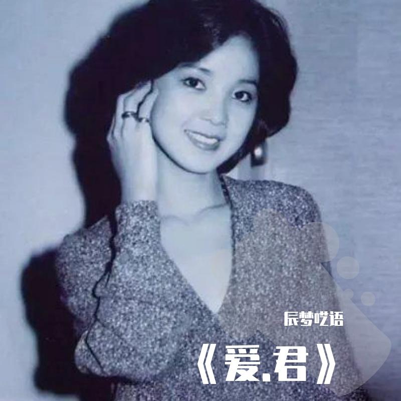 我不再迷惘封面