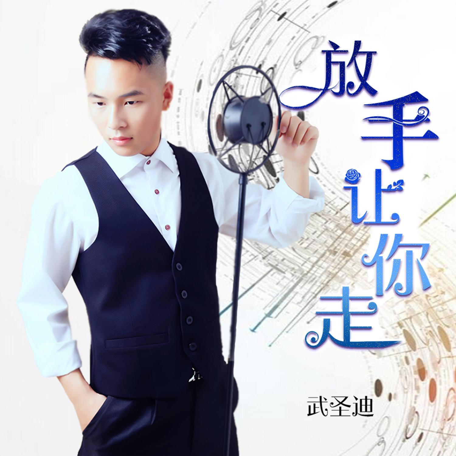 放手让你走 - 武圣迪封面
