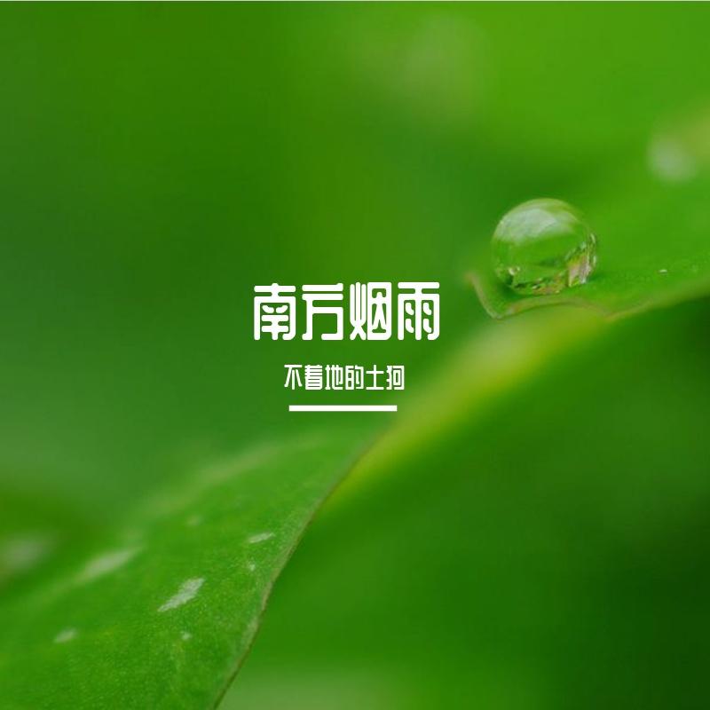 梦里花落知多少 伴奏封面