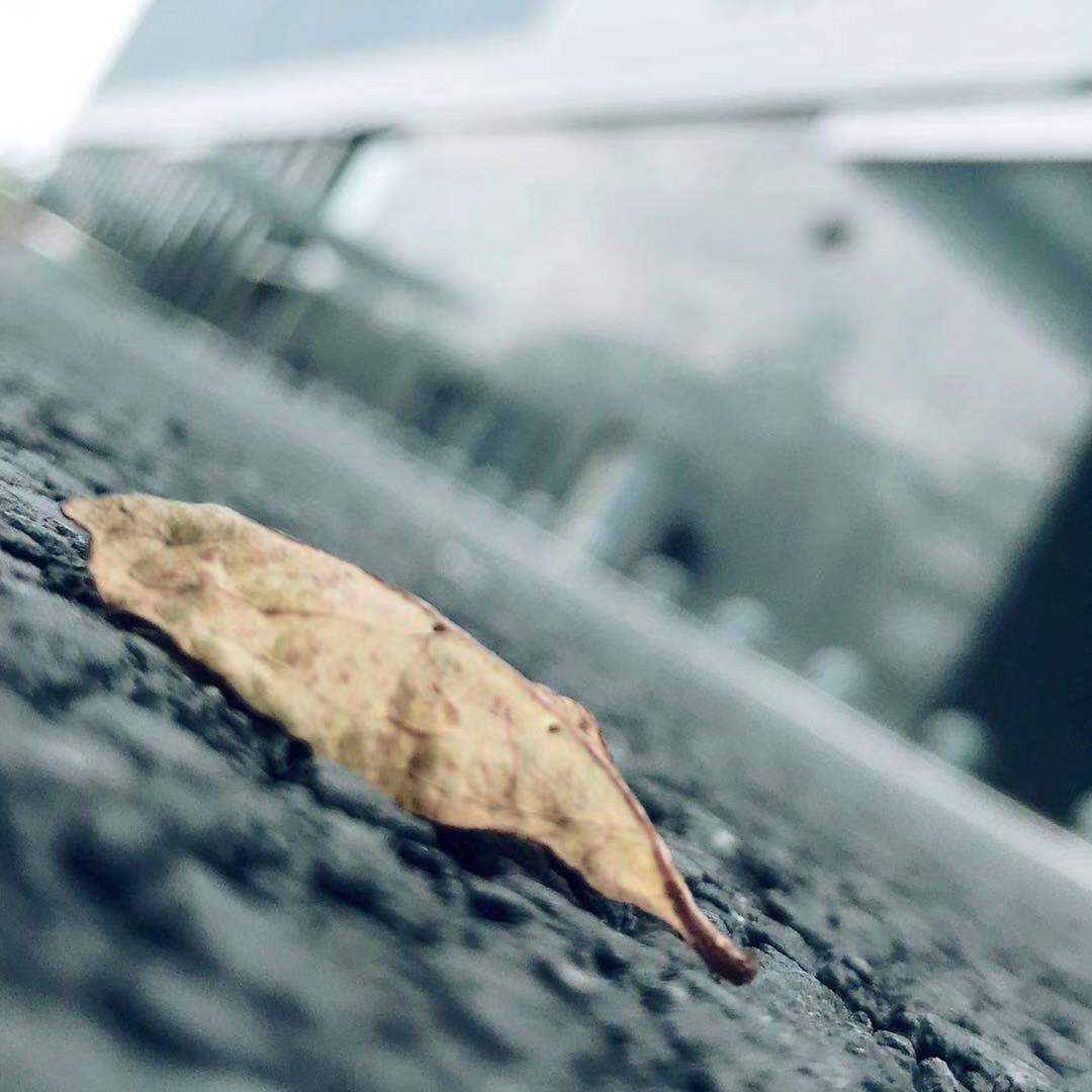 你是另一个我 - 王怼怼r封面