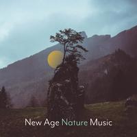 New Age Nature Music: Calm Down & Rest, Sounds of Water, Forest & More, Melodies of Piano and Guitar, Nature Sounds