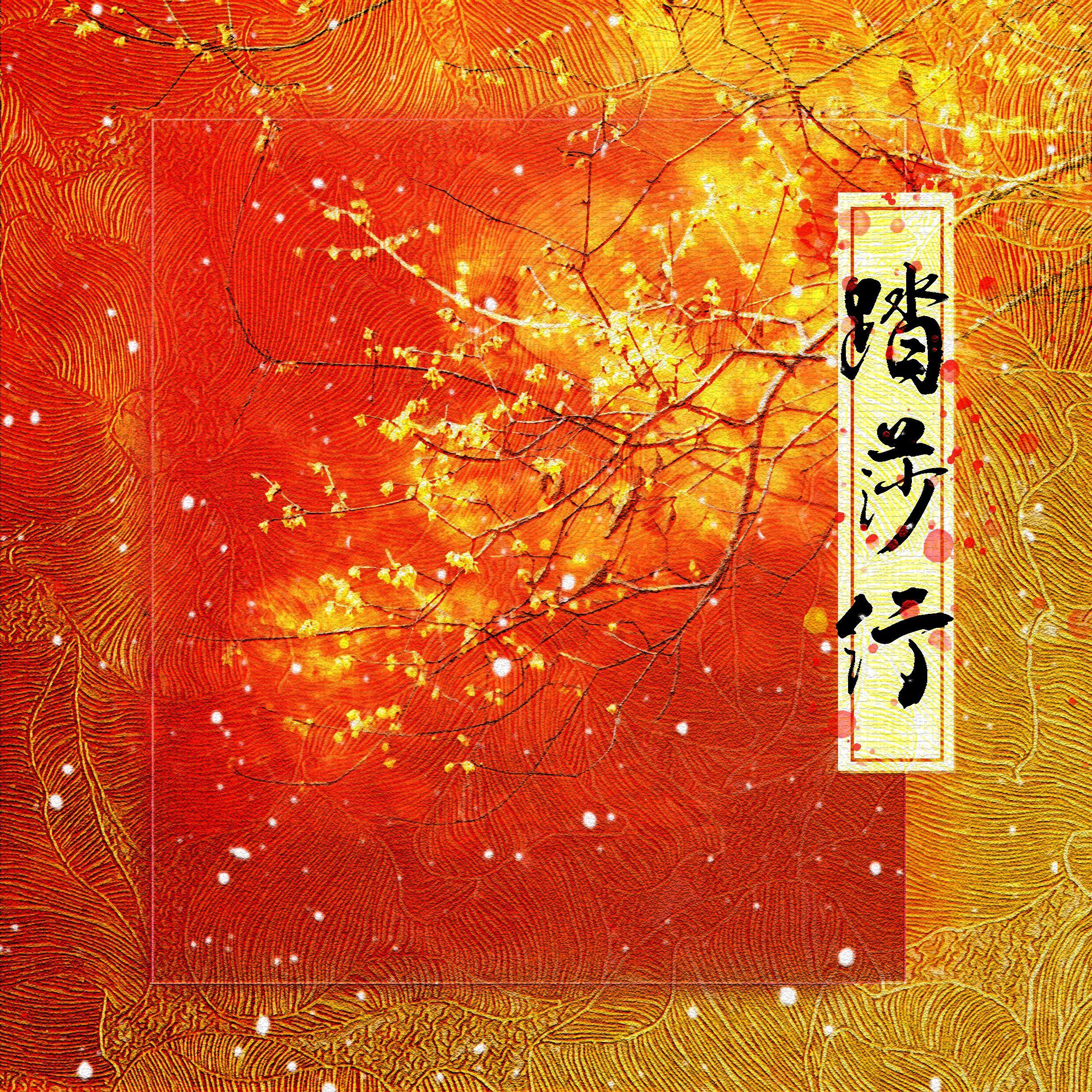 踏莎行_Akselse_踏莎行 | 在线播放_踏莎行歌词_踏莎行下载 | 网易云音乐