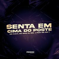 Senta em Cima do Poste