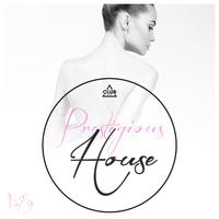 Prestigious House, Vol. 9