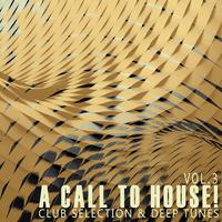 A Call to House!, Vol. 3