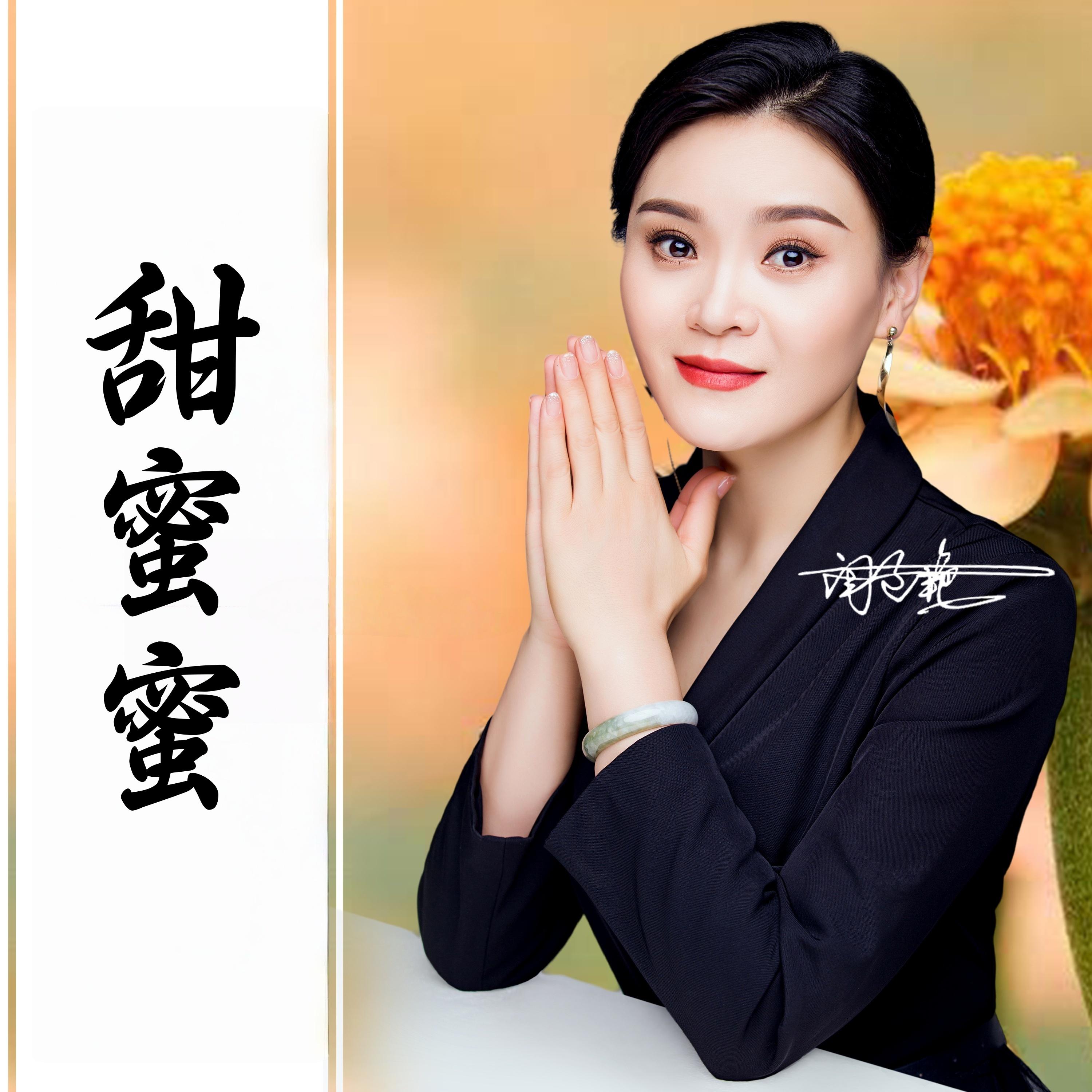甜蜜蜜 (Dj版)封面