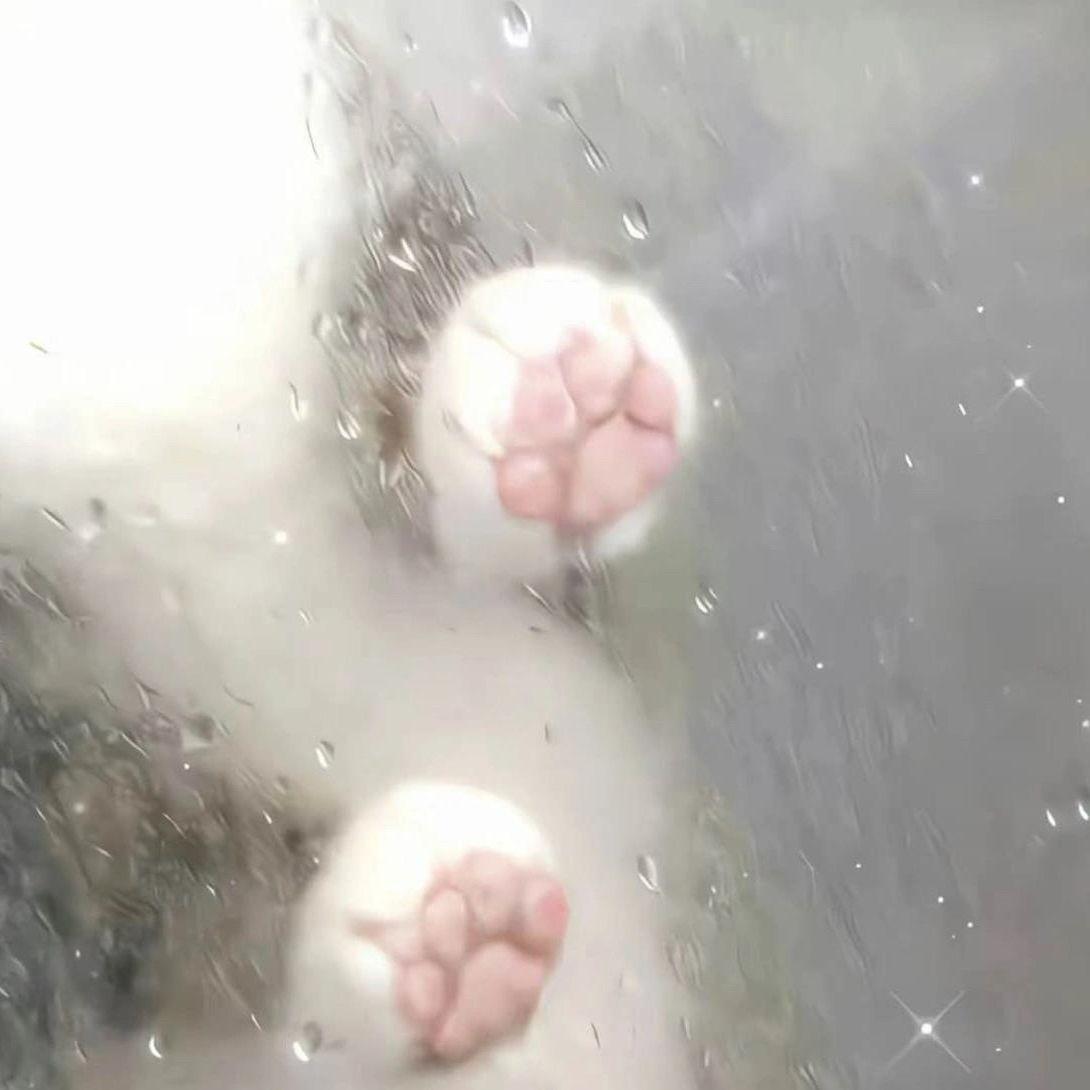 鬓角汗滴封面