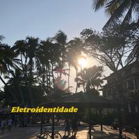 Eletroidentidade