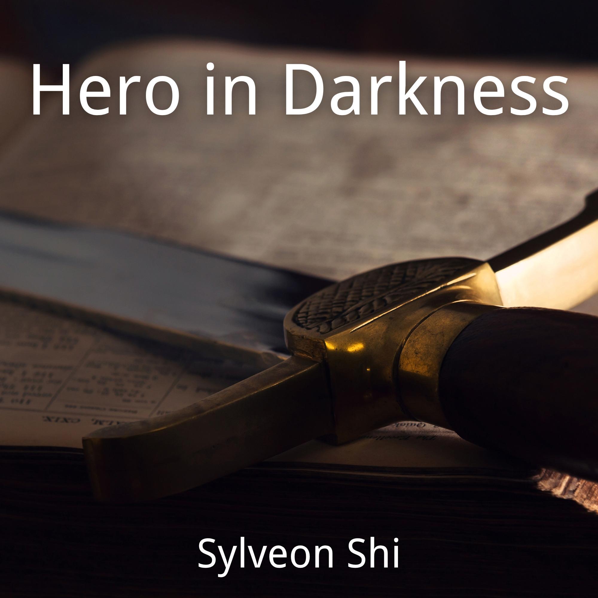 Hero in Darkness