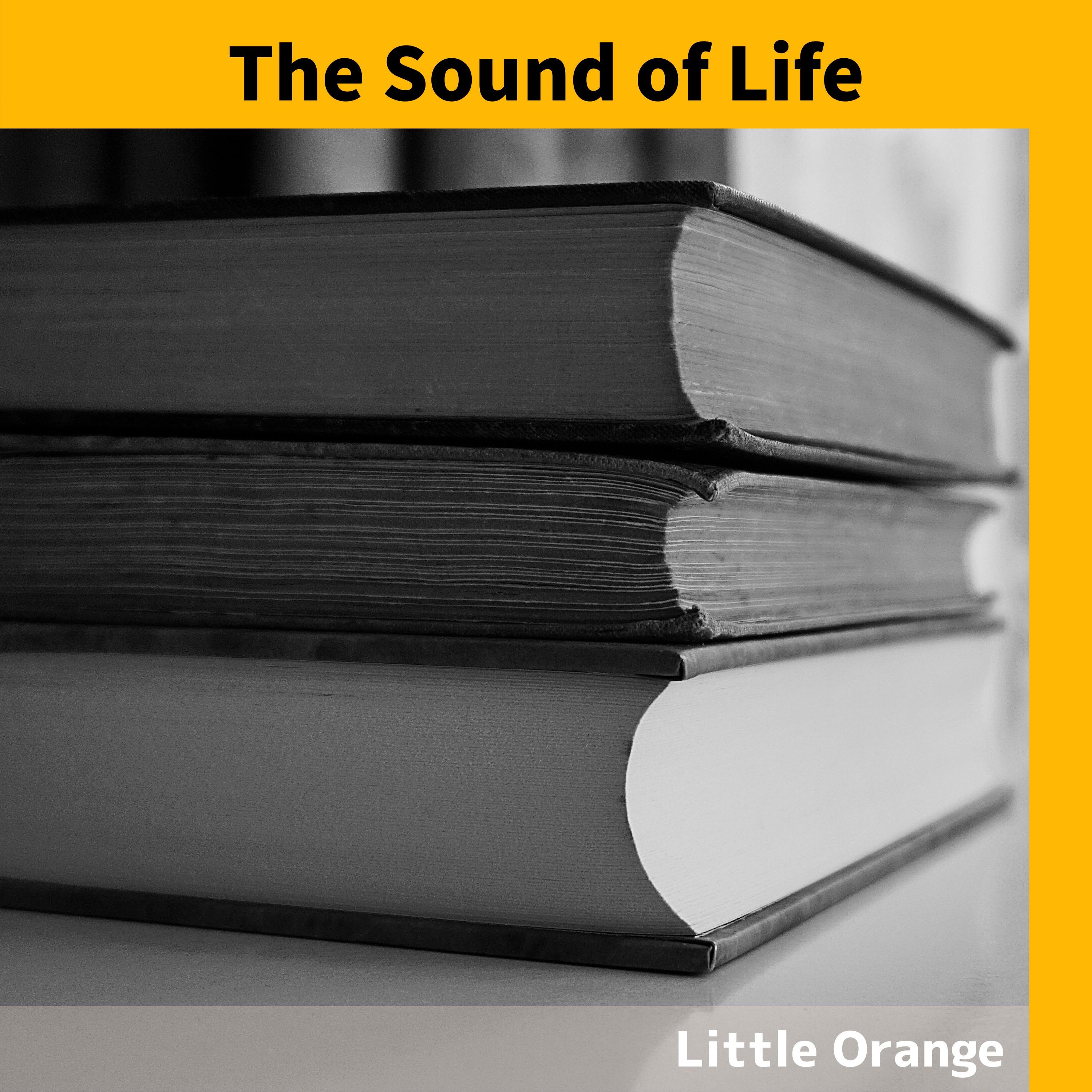 Words of the Mountain