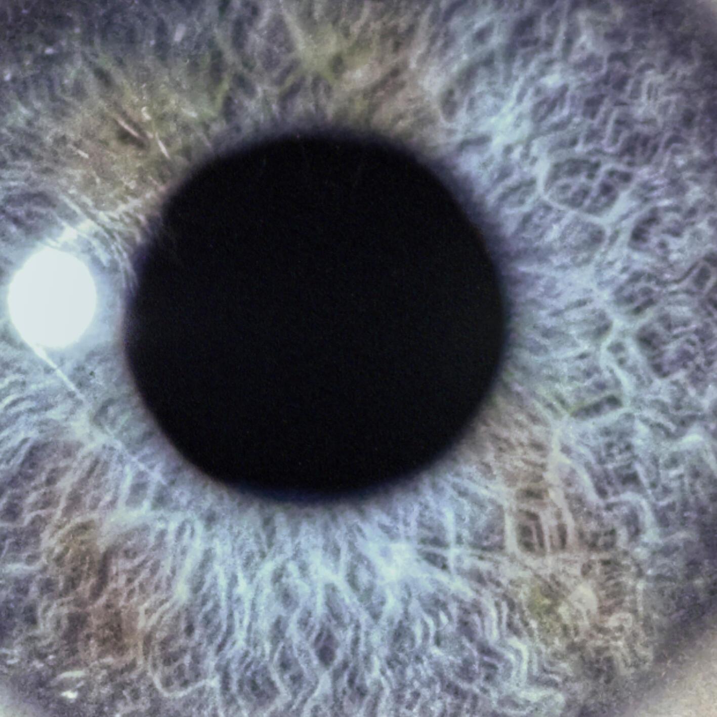 Encounterparts (Remaster 2026)