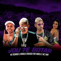 Vou Te Botar (feat. Mc Thay & MC Meno K) (Brega Funk)