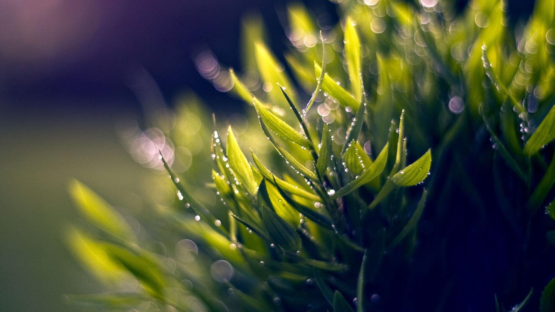 秋雨_虽华_秋雨 | 在线播放_秋雨歌词_秋雨下载 | 网易云音乐
