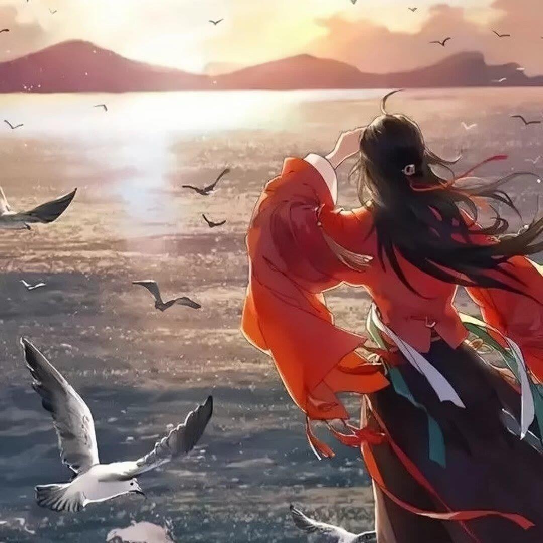 问君知否封面