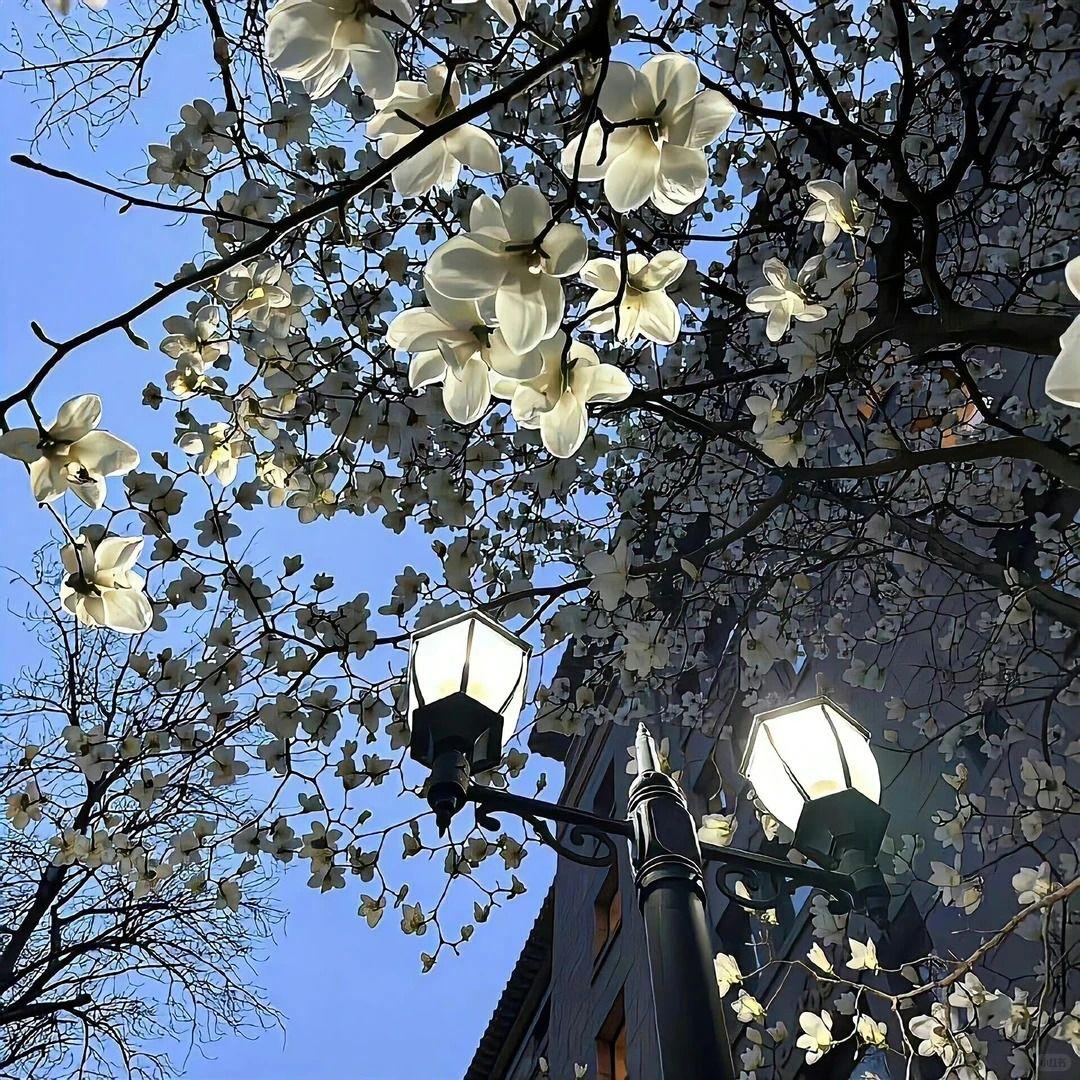 [FREE]“ IN LOVE ” pop type beat