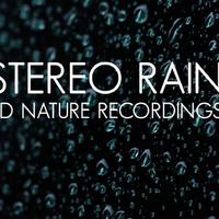 4D Nature Recordings