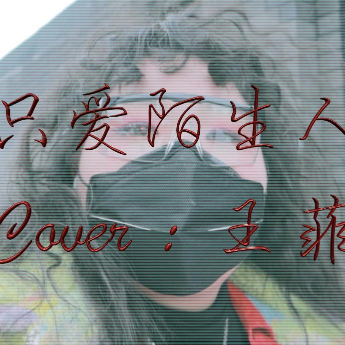只爱陌生人封面