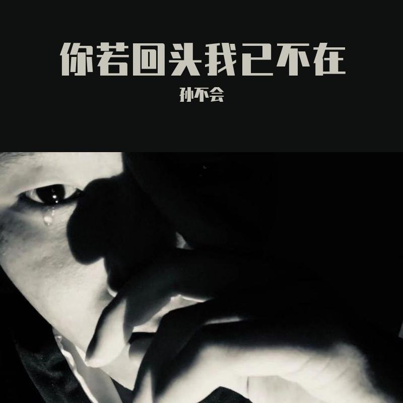 像风一样自由(原许巍)封面
