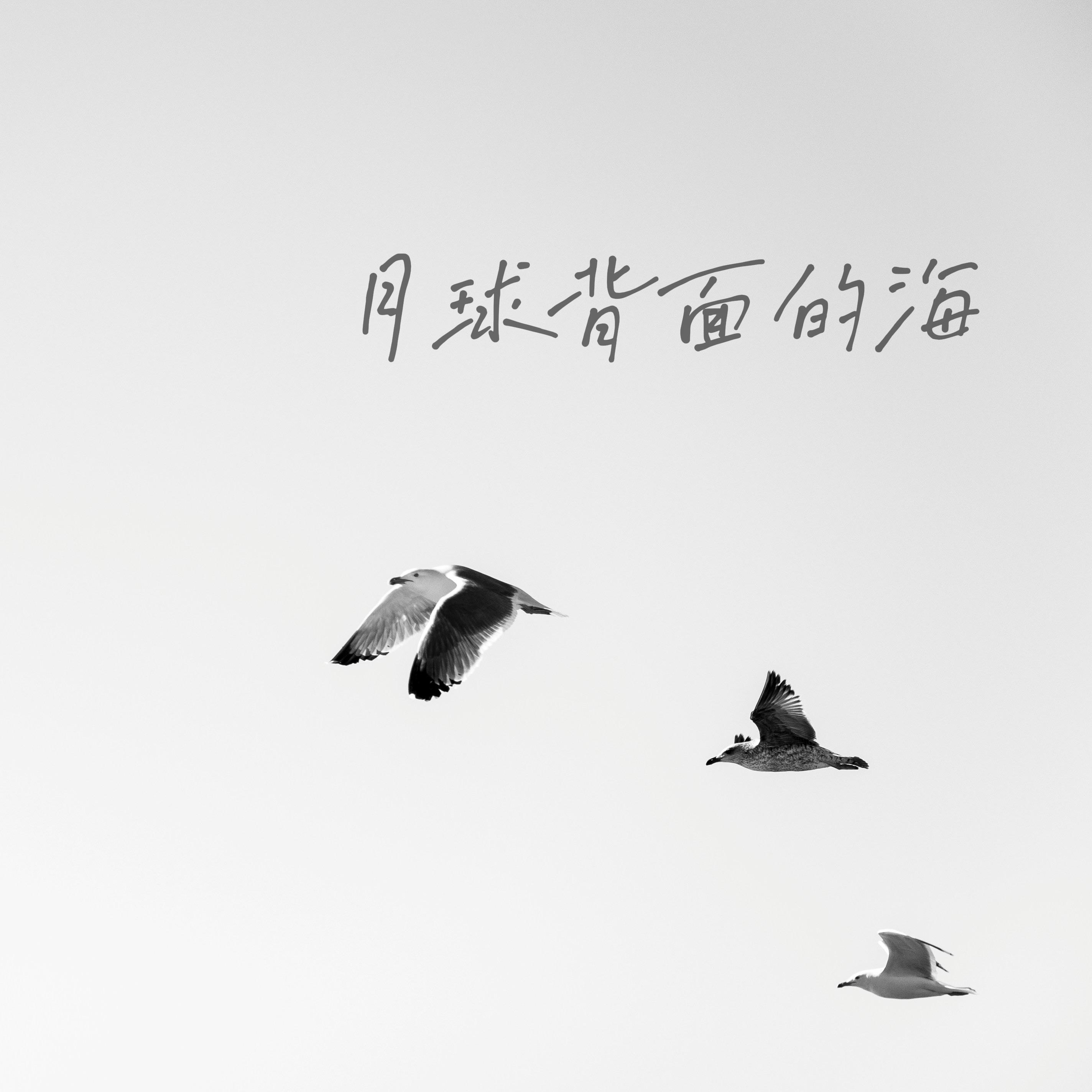 你被写在我的歌里（管弦乐）封面