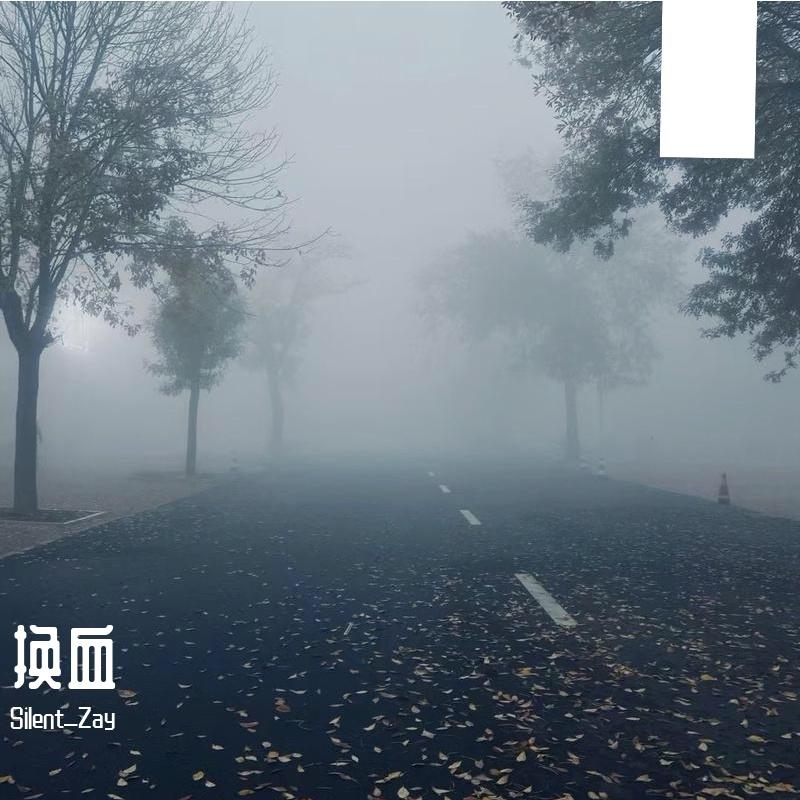 换血 （Prod By 9Zi）封面