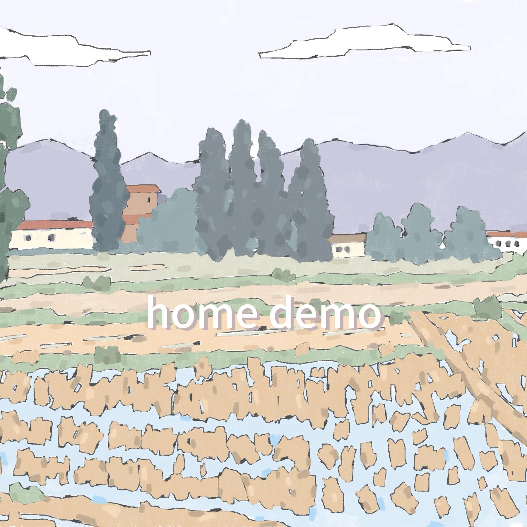 爱错（弹唱版HomeDemo）