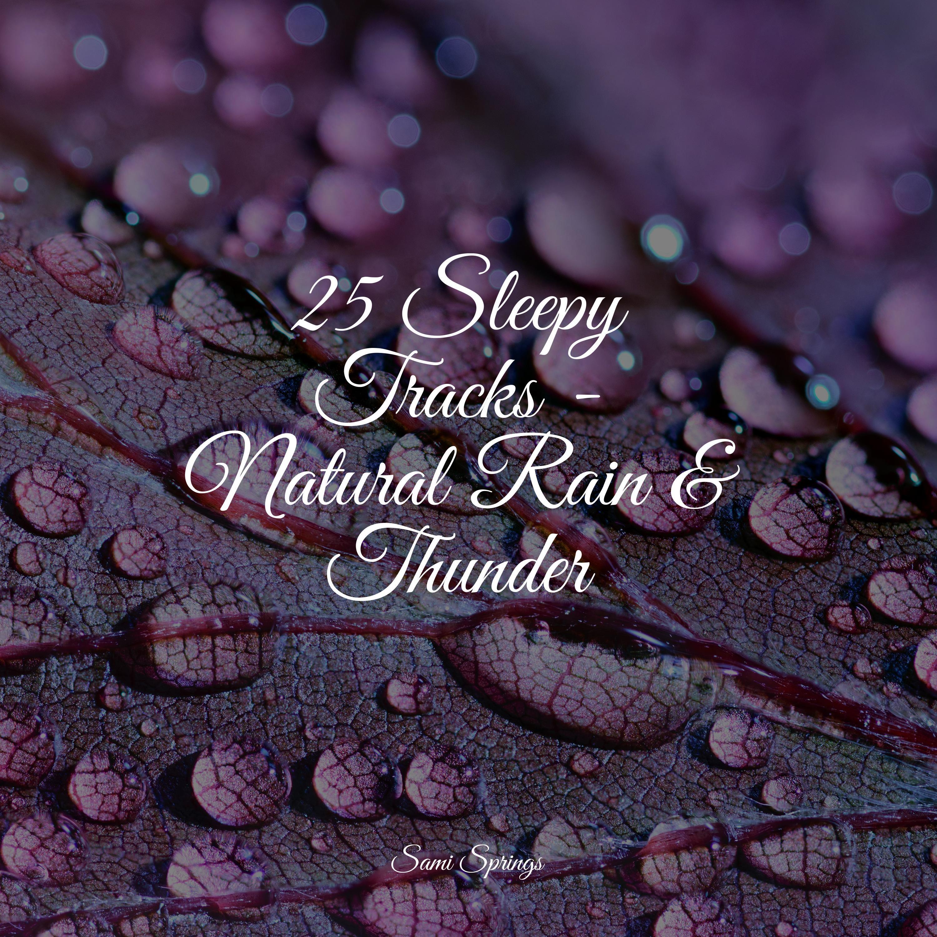 25 Sleepy Tracks Natural Rain Thunder Natural Sounds 